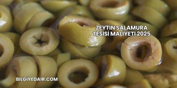 Zeytin Salamura Tesisi Maliyeti 2025
