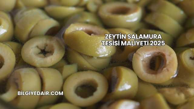 Zeytin Salamura Tesisi Maliyeti 2025