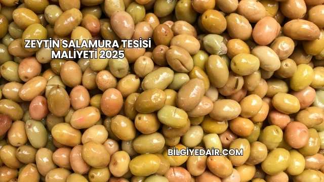 Zeytin Salamura Tesisi Maliyeti 2025