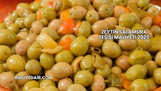 Zeytin Salamura Tesisi Maliyeti 2025