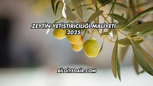 Zeytin Yetiştiriciliği Maliyeti 2025