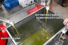 Zeytinyağı Fabrikası Açma Maliyeti 2025