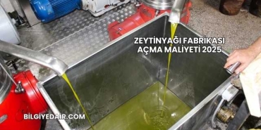 Zeytinyağı Fabrikası Açma Maliyeti 2025