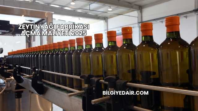 Zeytinyağı Fabrikası Açma Maliyeti 2025