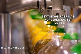 Zeytinyağı Fabrikası Kurulum Maliyeti 2025