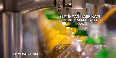 Zeytinyağı Fabrikası Kurulum Maliyeti 2025