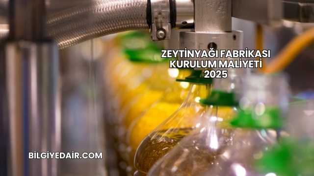 Zeytinyağı Fabrikası Kurulum Maliyeti 2025
