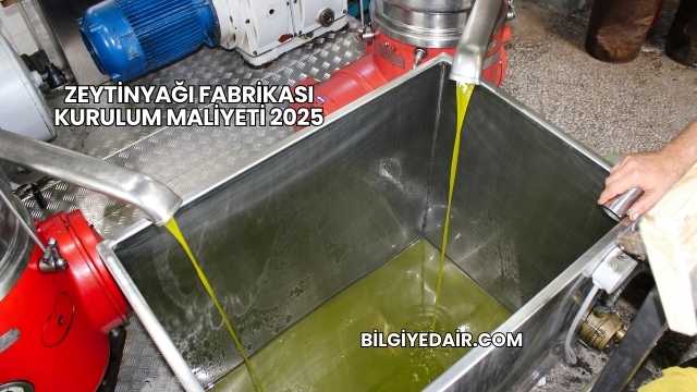 Zeytinyağı Fabrikası Kurulum Maliyeti 2025