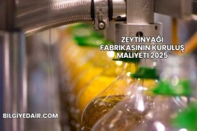 Zeytinyağı Fabrikasının Kuruluş Maliyeti 2025