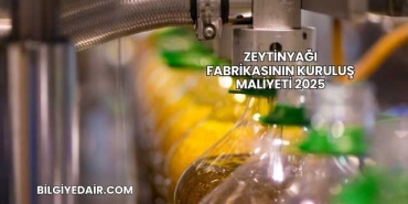 Zeytinyağı Fabrikasının Kuruluş Maliyeti 2025