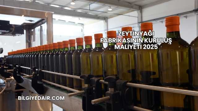 Zeytinyağı Fabrikasının Kuruluş Maliyeti 2025