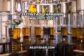 Zeytinyağı Yapmanın Maliyeti 2025
