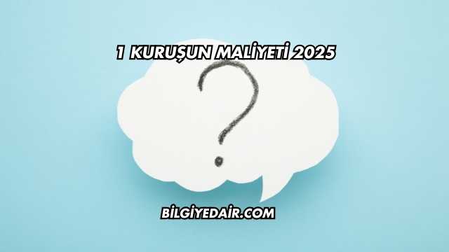 1 Kuruşun Maliyeti 2025