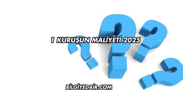 1 Kuruşun Maliyeti 2025