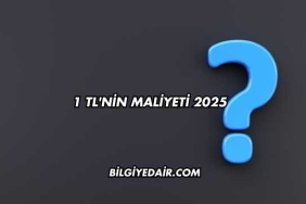 1 TL'nin Maliyeti 2025