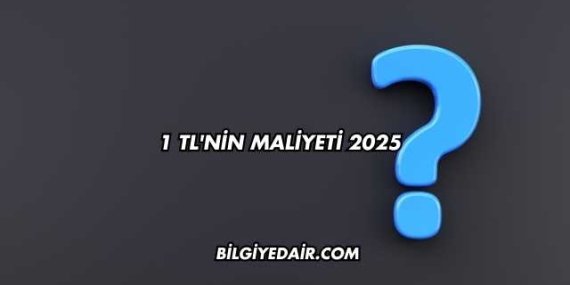 1 TL’nin Maliyeti 2025
