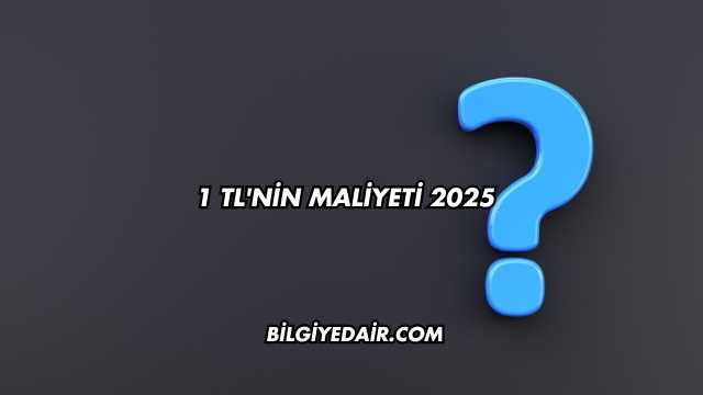 1 TL'nin Maliyeti 2025