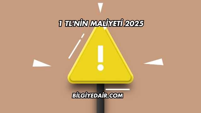 1 TL'nin Maliyeti 2025