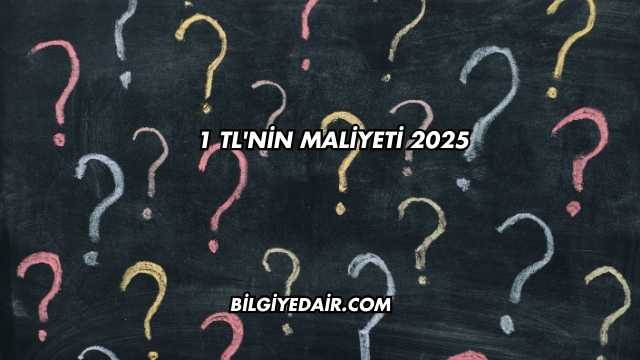 1 TL'nin Maliyeti 2025