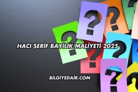 Hacı Şerif Bayilik Maliyeti 2025