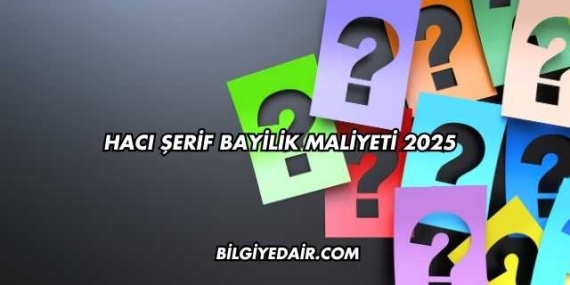 Hacı Şerif Bayilik Maliyeti 2025