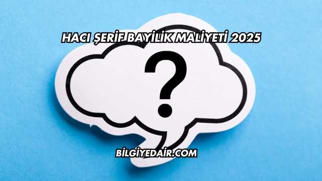 Hacı Şerif Bayilik Maliyeti 2025