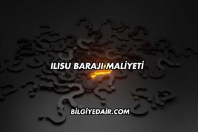Ilısu Barajı Maliyeti