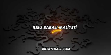 Ilısu Barajı Maliyeti