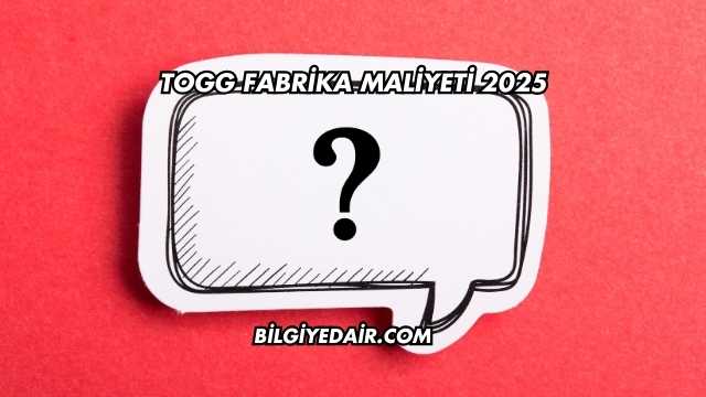 TOGG Fabrika Maliyeti 2025