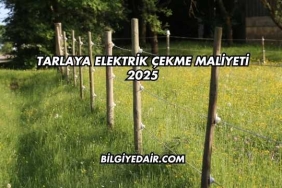 Tarlaya Elektrik Çekme Maliyeti 2025