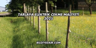 Tarlaya Elektrik Çekme Maliyeti 2025