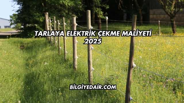 Tarlaya Elektrik Çekme Maliyeti 2025