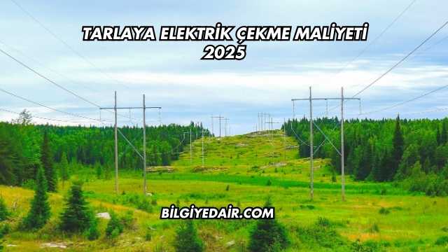 Tarlaya Elektrik Çekme Maliyeti 2025