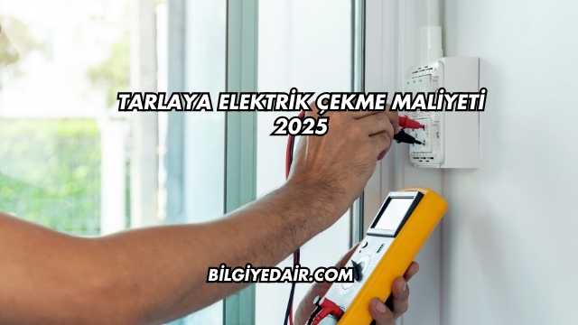 Tarlaya Elektrik Çekme Maliyeti 2025