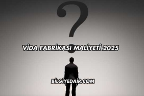Vida Fabrikası Maliyeti 2025