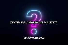 Zeytin Dalı Harekatı Maliyeti