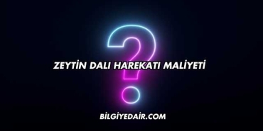 Zeytin Dalı Harekatı Maliyeti