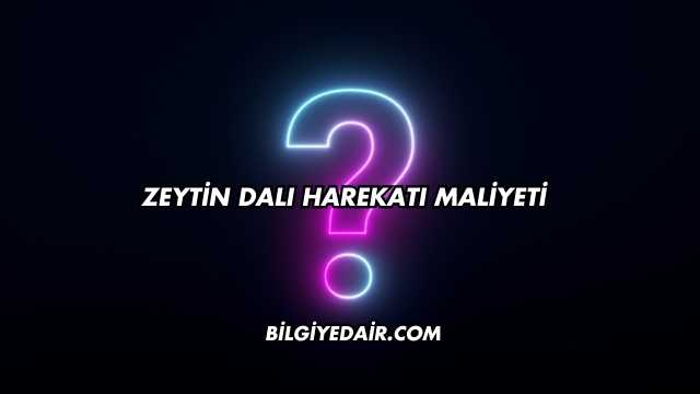 Zeytin Dalı Harekatı Maliyeti