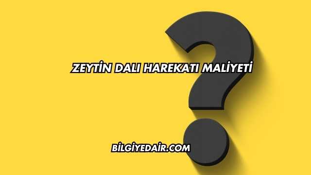 Zeytin Dalı Harekatı Maliyeti