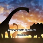 Ankapark'ın Maliyeti