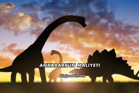 Ankapark'ın Maliyeti