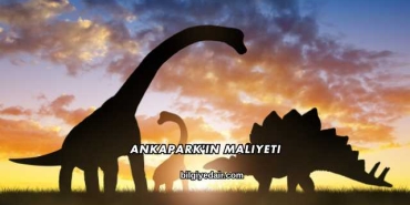 Ankapark'ın Maliyeti