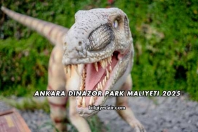 Ankara Dinazor Park Maliyeti 2025