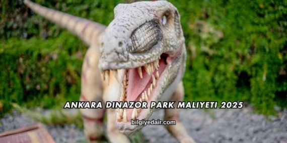 Ankara Dinazor Park Maliyeti 2025