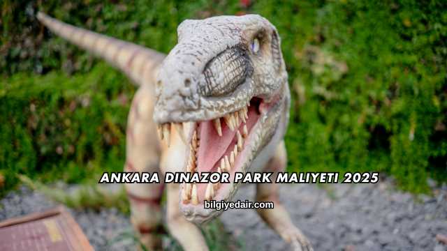 Ankara Dinazor Park Maliyeti 2025