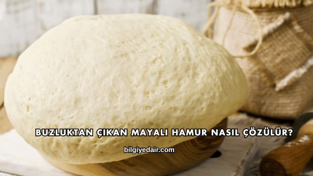 Buzluktan Çıkan Mayalı Hamur Nasıl Çözülür?