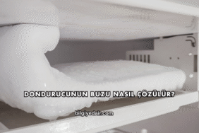 Dondurucunun Buzu Nasıl Çözülür?