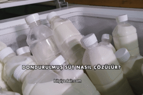 Dondurulmuş Süt Nasıl Çözülür?