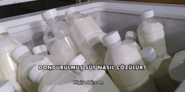 Dondurulmuş Süt Nasıl Çözülür?