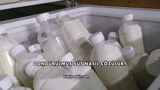Dondurulmuş Süt Nasıl Çözülür?